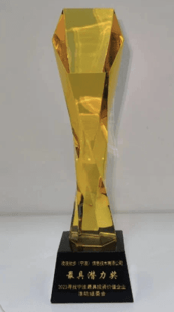 Most Potential Award trophy — Linpowave